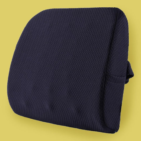Ecoden® Back Pillow